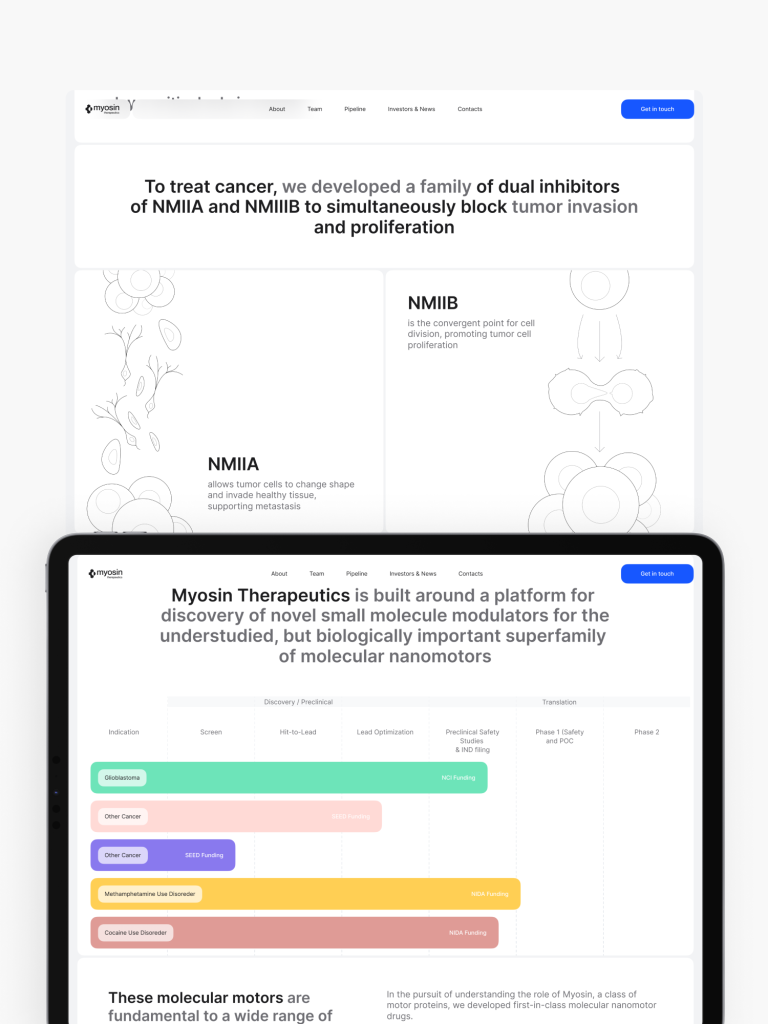 A tablet showcasing a clean web design, featuring a colorful timeline and text about Myosin Therapeutics, set against a clean white background, crafted by a leading website design agency in Calgary.