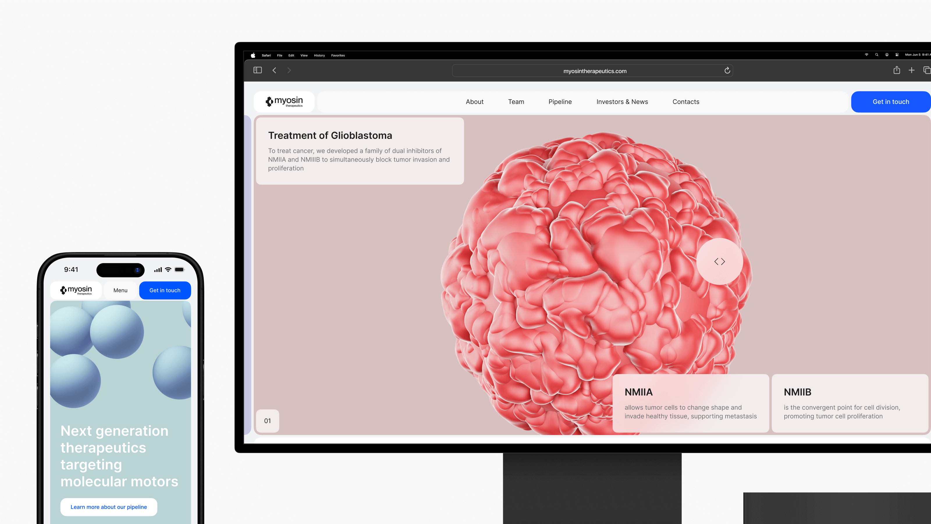 A smartphone and monitor display a glioblastoma treatment website featuring 3D illustrations. The Myosin Therapeutics website was designed by Webgamma, a top website design agency in Waterloo.